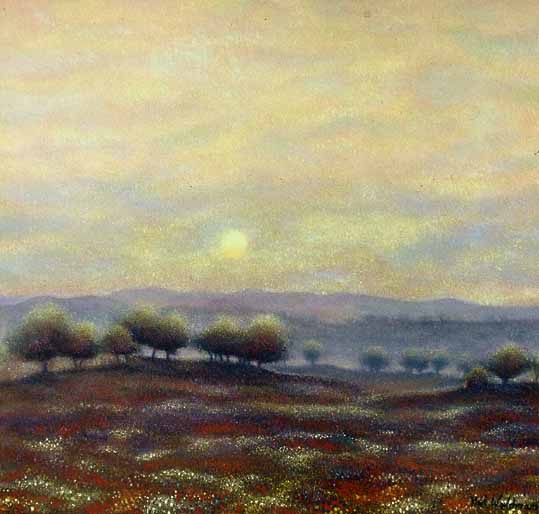 Poppie Fields