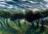 The Night Orchard